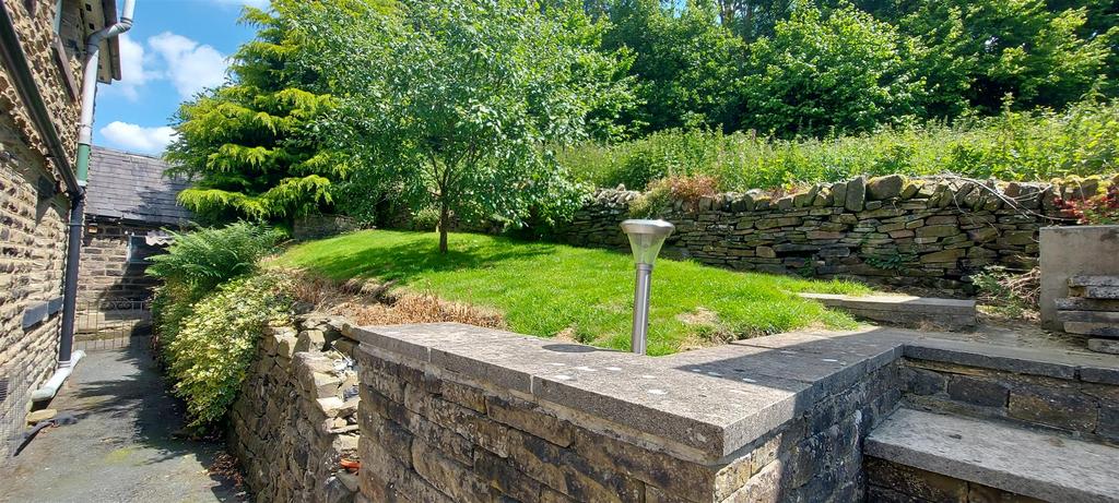 Back garden.jpg