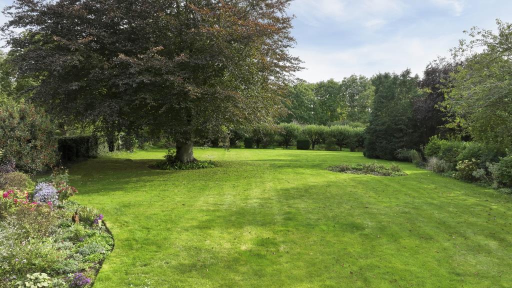 Garden.jpg