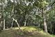 Buildwas Bypass, Ironbridge TF8 photo 3