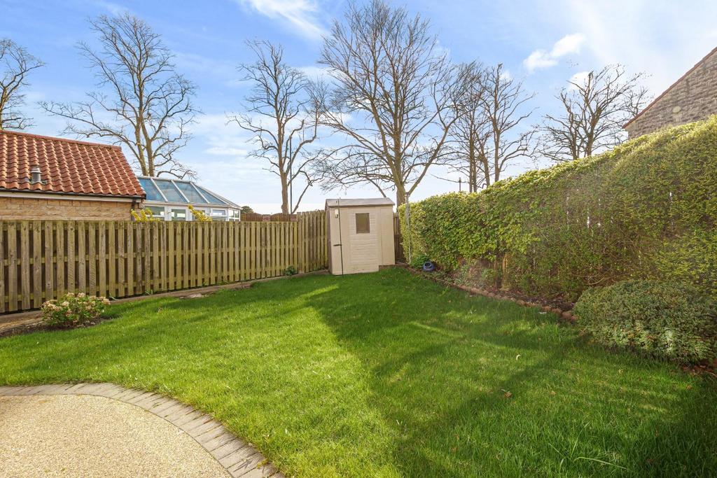 New garden photo.jpg