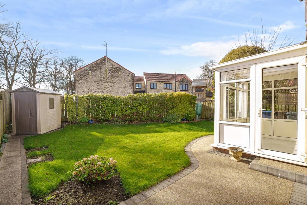 New garden photo- 1.jpg