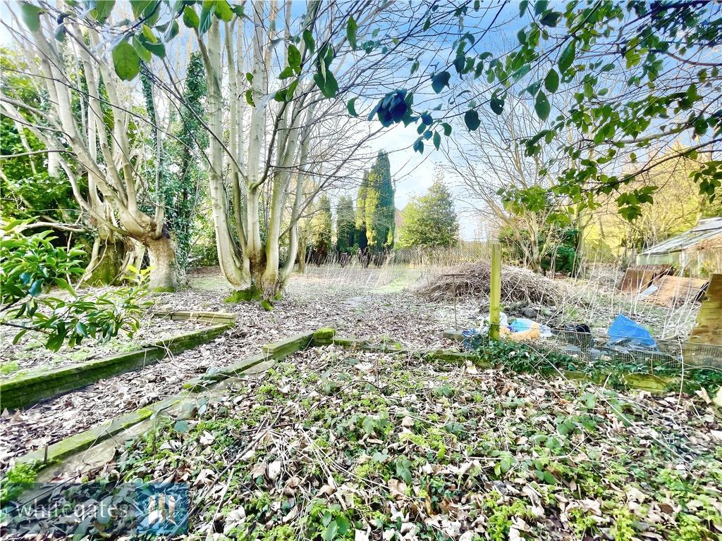 Woodland