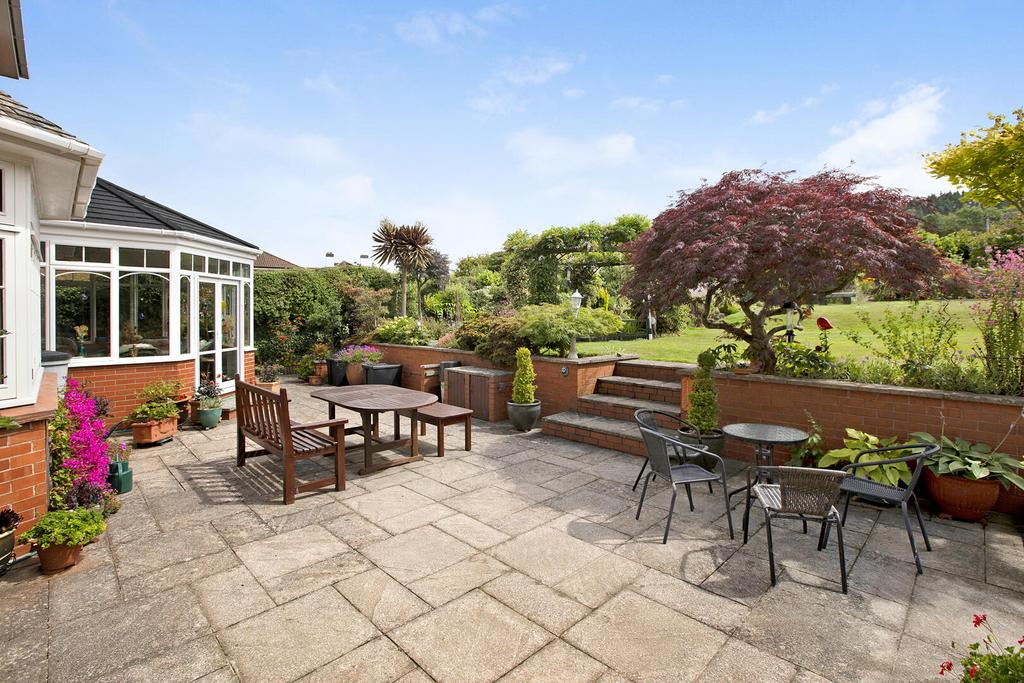 Terrace / Patio