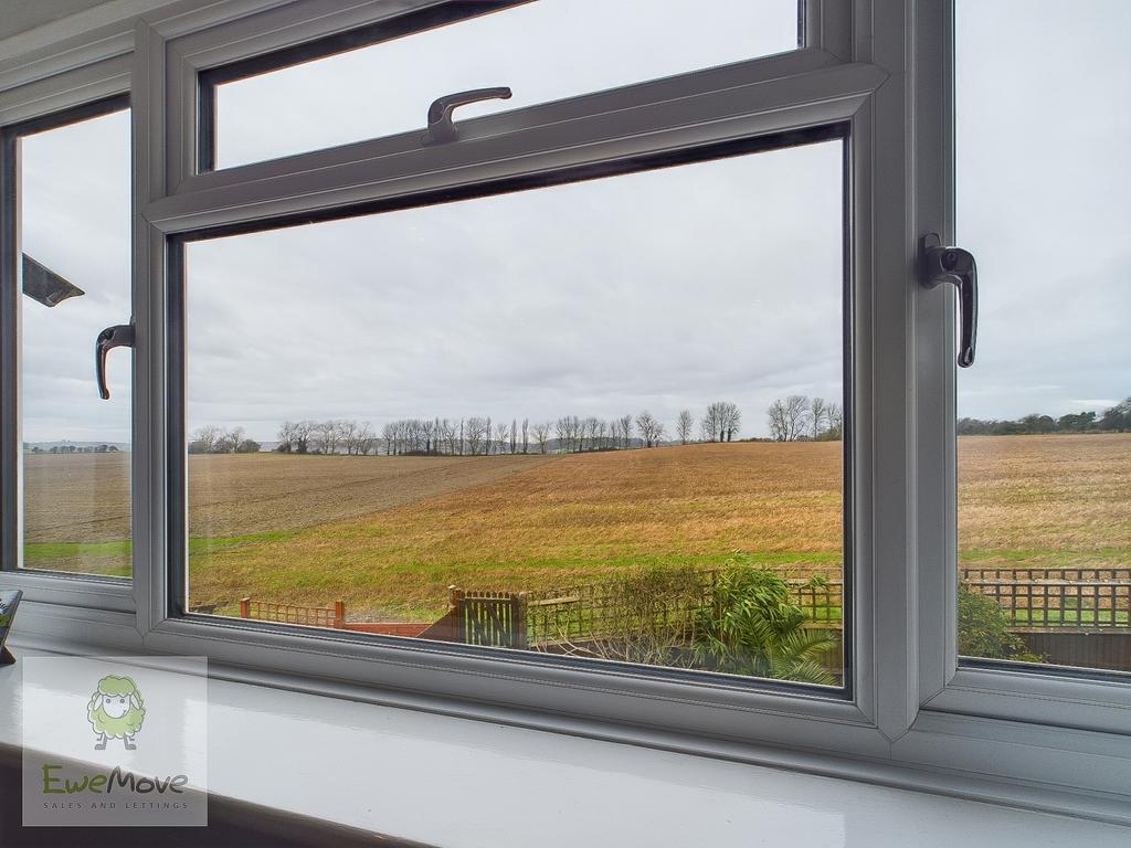 View From The Back Bedroom