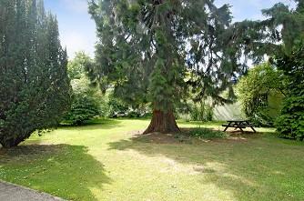 Communal Gardens