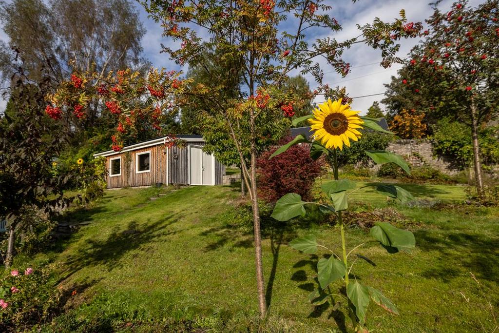 West-Moulin-Road-Garden .jpg