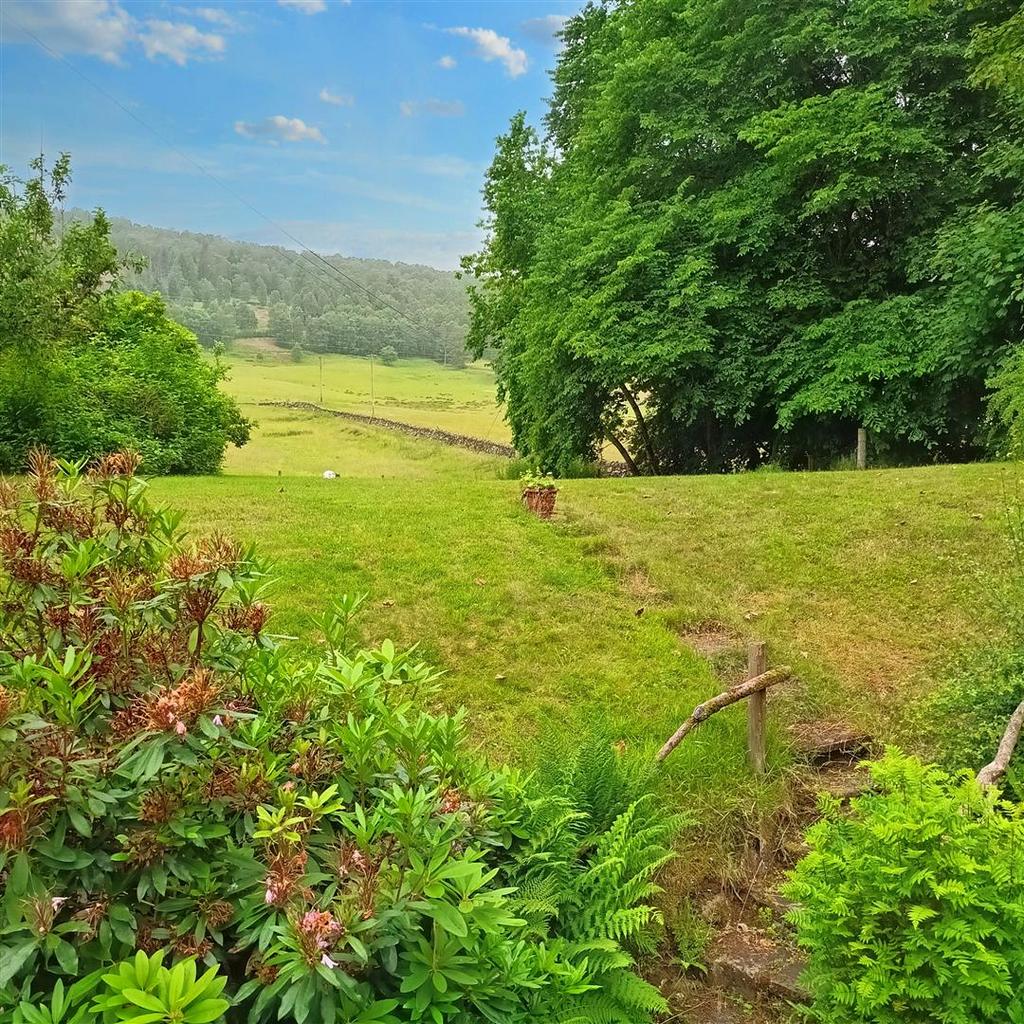 Wynadotte, Gardnen, views over Dunfallandy Estate