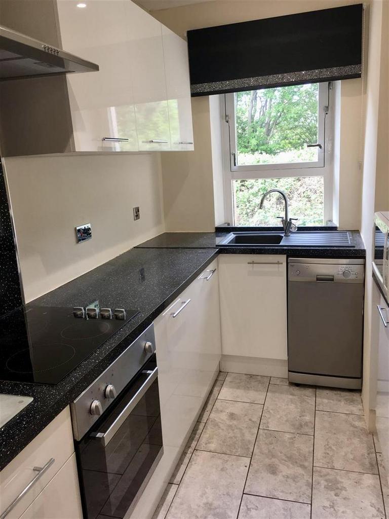Earl Street, Glasgow  kitchen.jpg