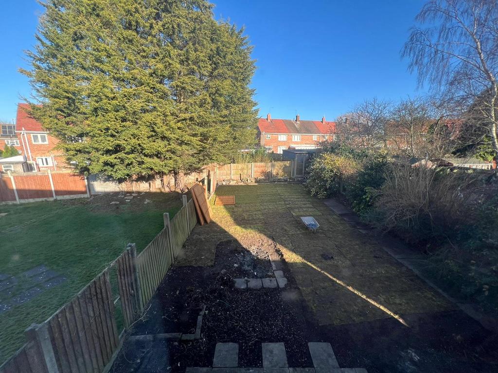 Back Garden