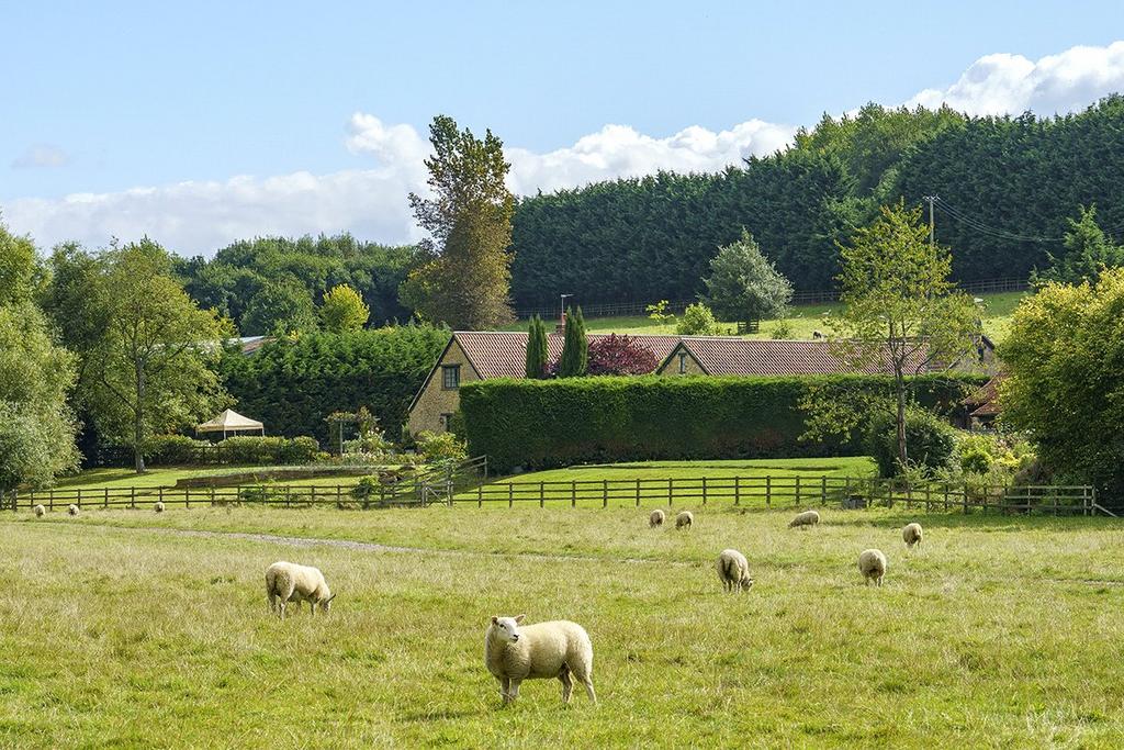 Fields and View