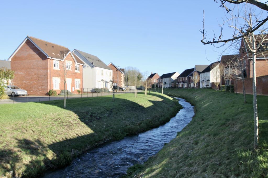 Overlooking the brook