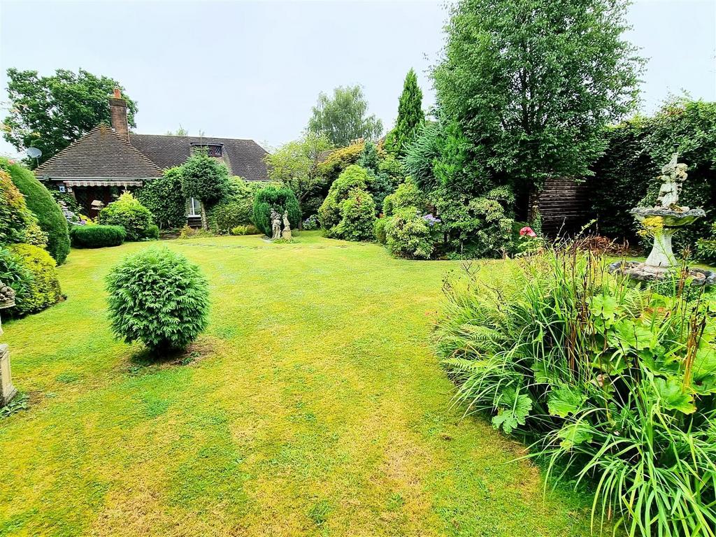 Garden 4.jpg