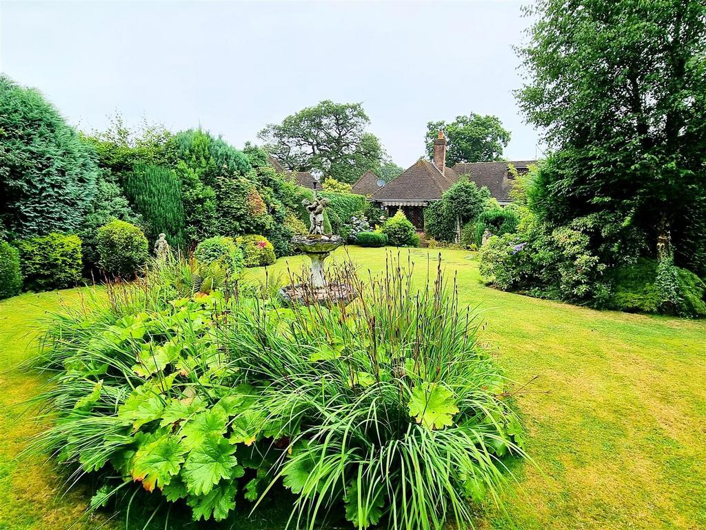 Garden 5.jpg