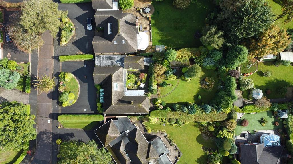 Dji 0079.jpg