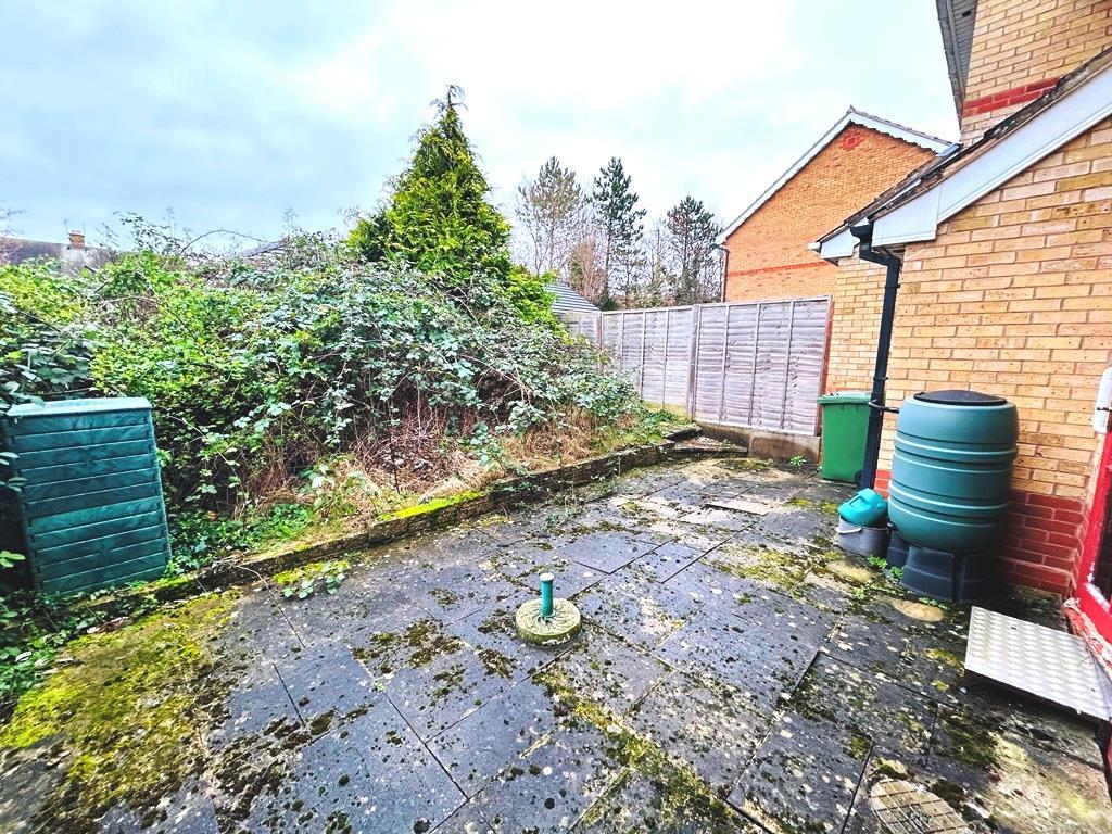 Garden 2.JPEG