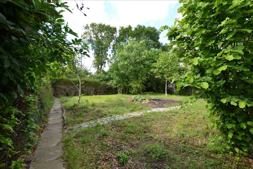 Rear part of garden