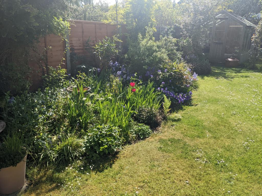 Garden 1