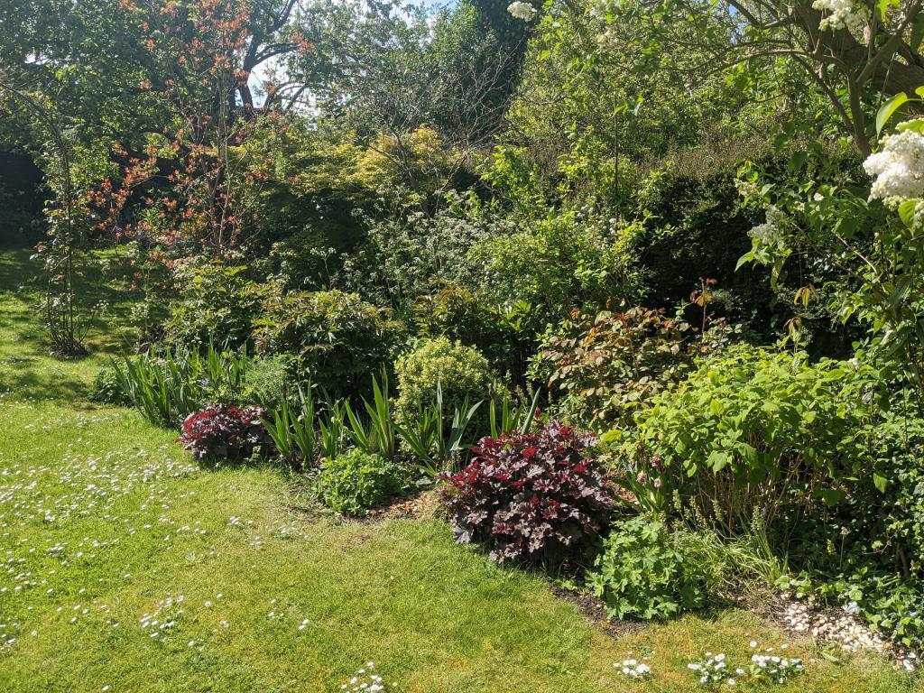 Garden 2