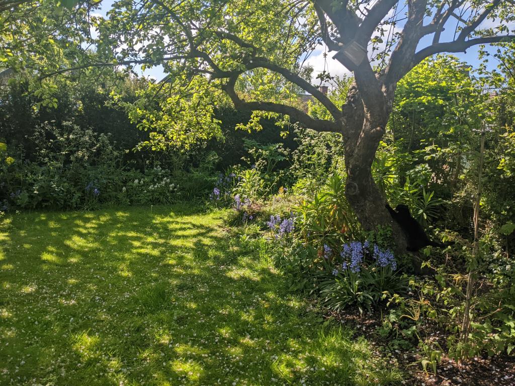 Garden 3