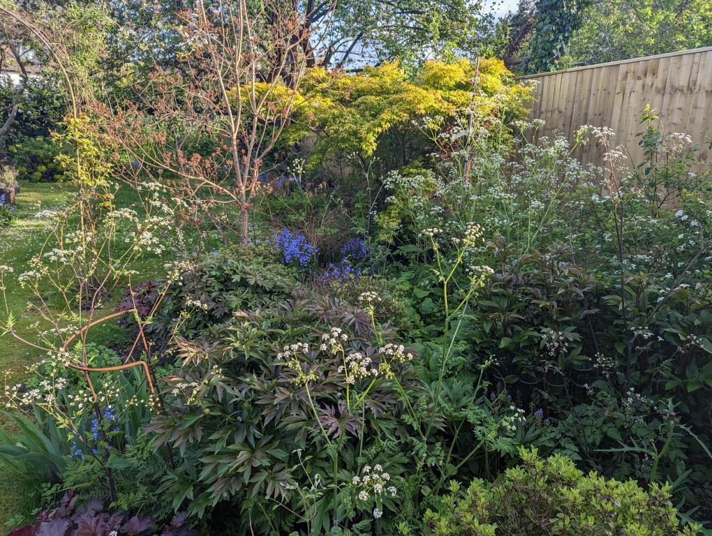 Garden 4