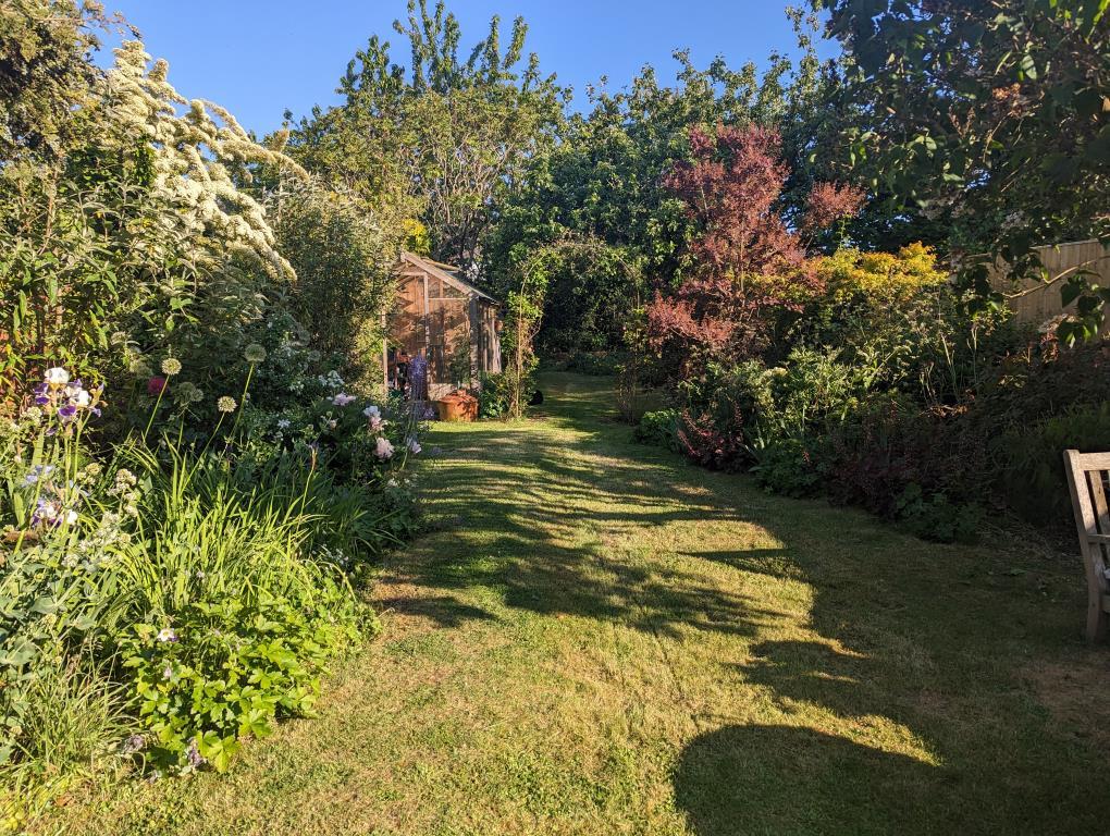 Garden 6