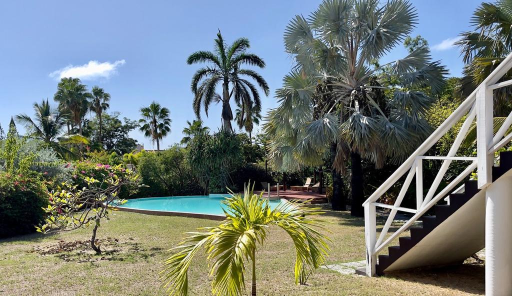 Garden and Pool