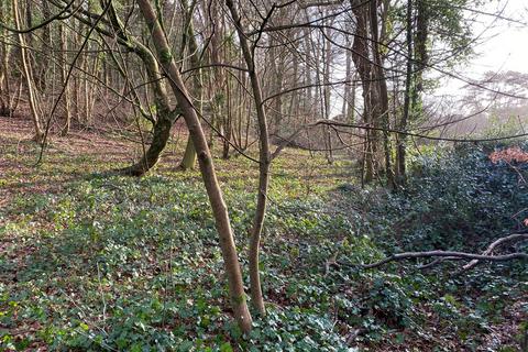 Land for sale, Eaglesbush Valley, Neath, Neath Port Talbot.