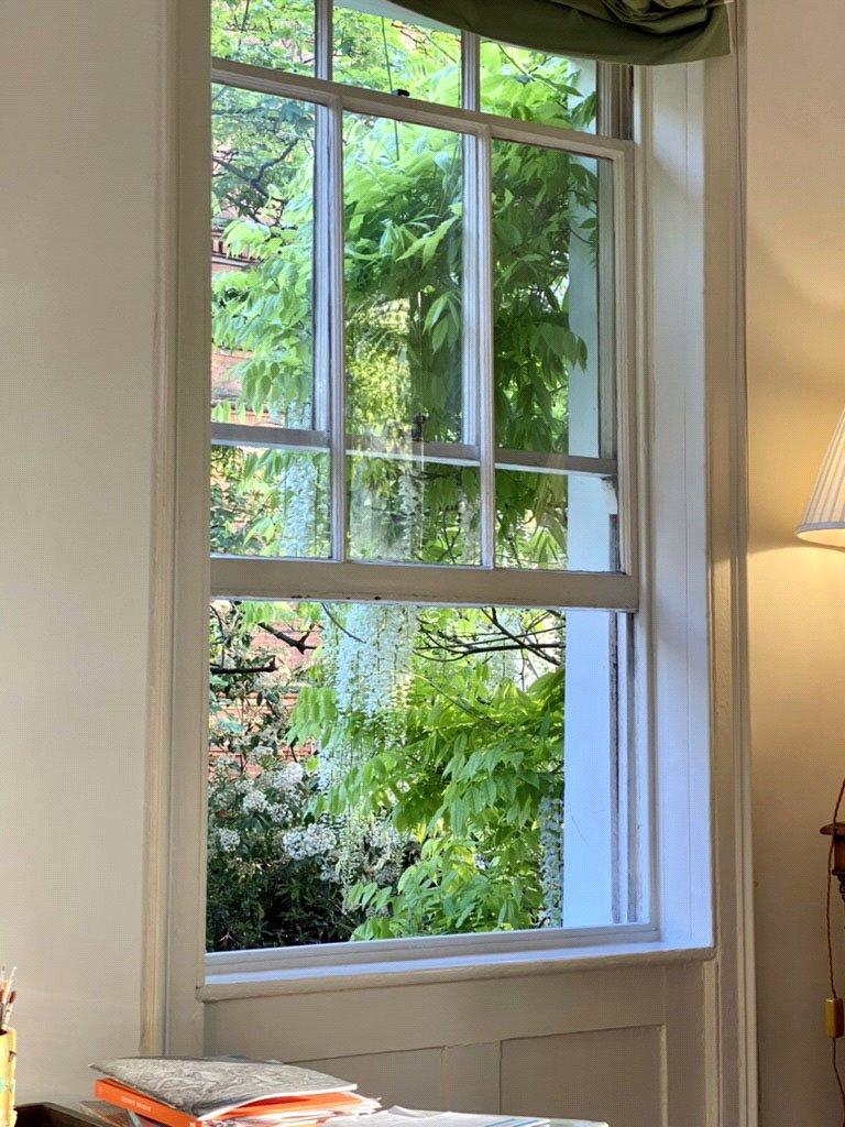 Window