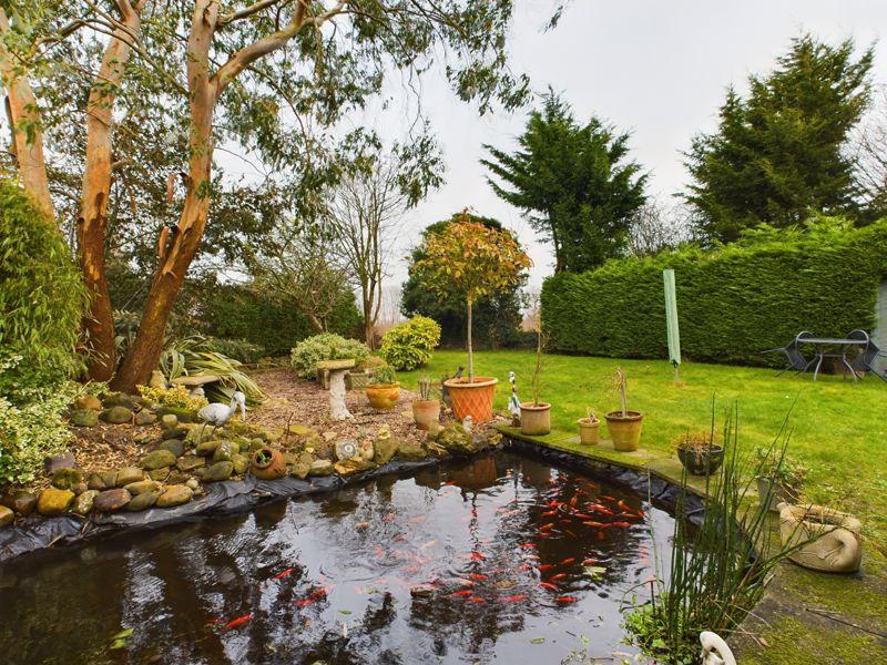 Pond