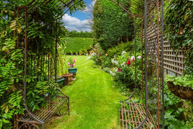 View of garden from