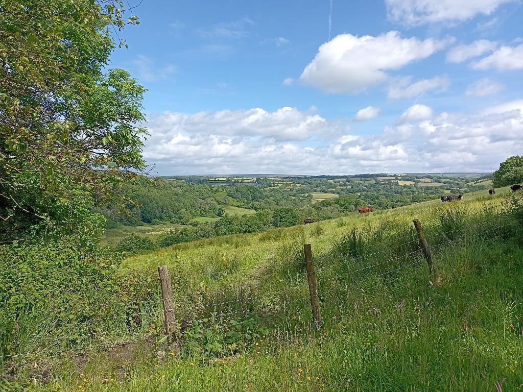 Superb Views From Gardens
