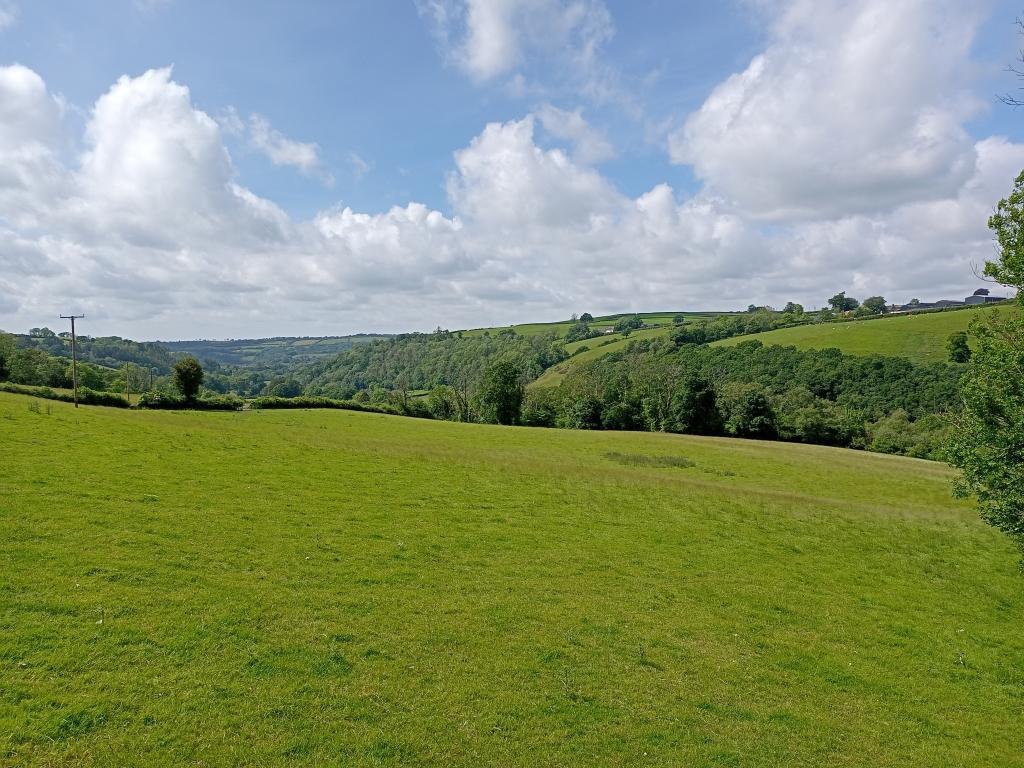 Superb Views