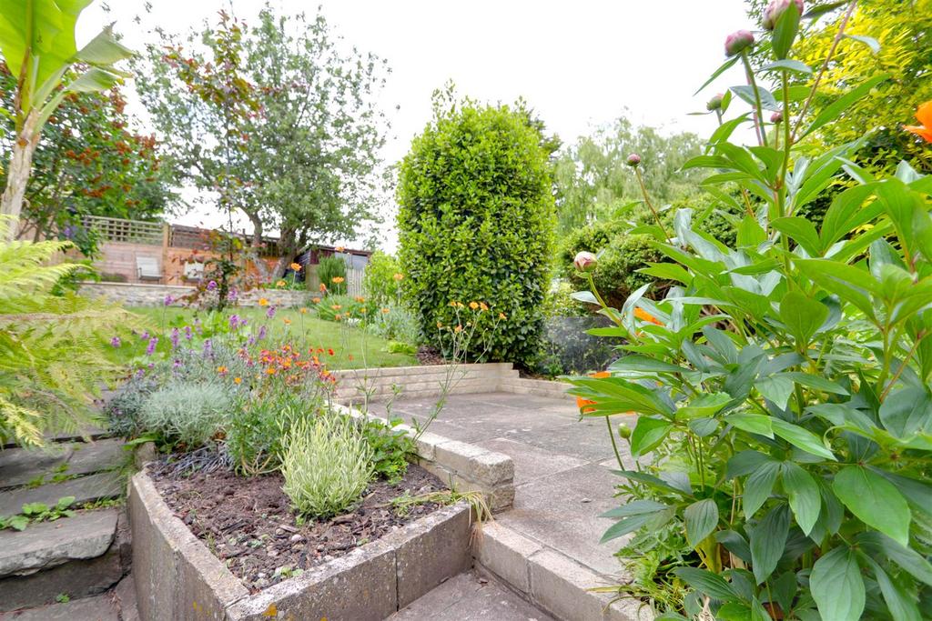 Garden flowers.jpg