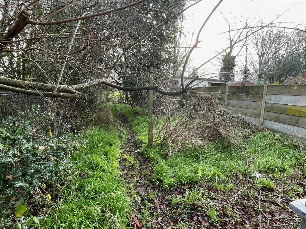 Garden.jpg