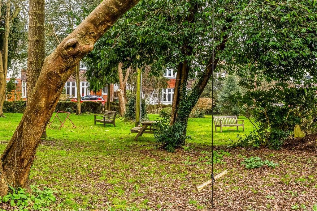 Communal garden.jpg