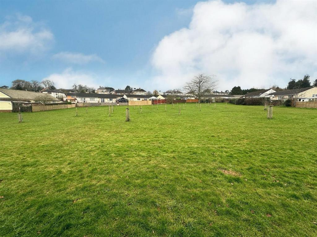Open Green Space