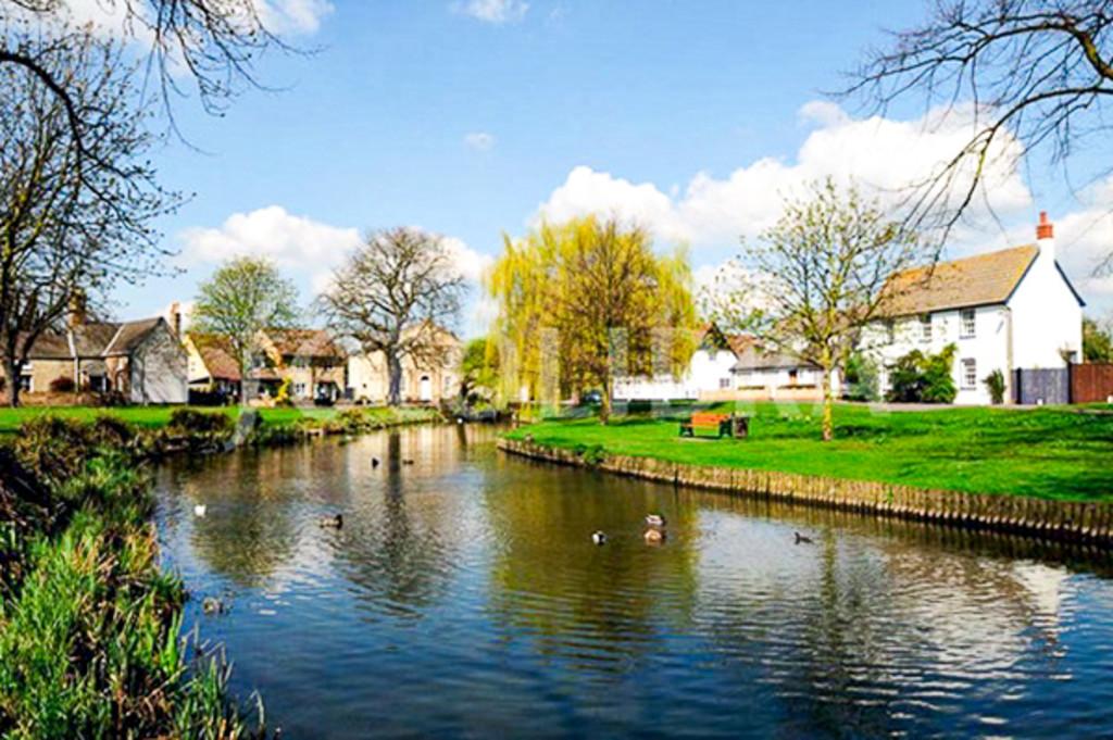 Village green