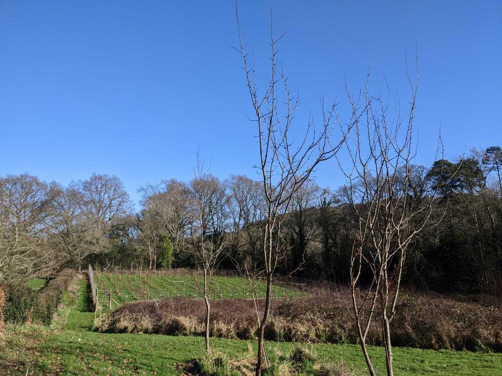 Fovant, Salisbury Land for sale £80,000