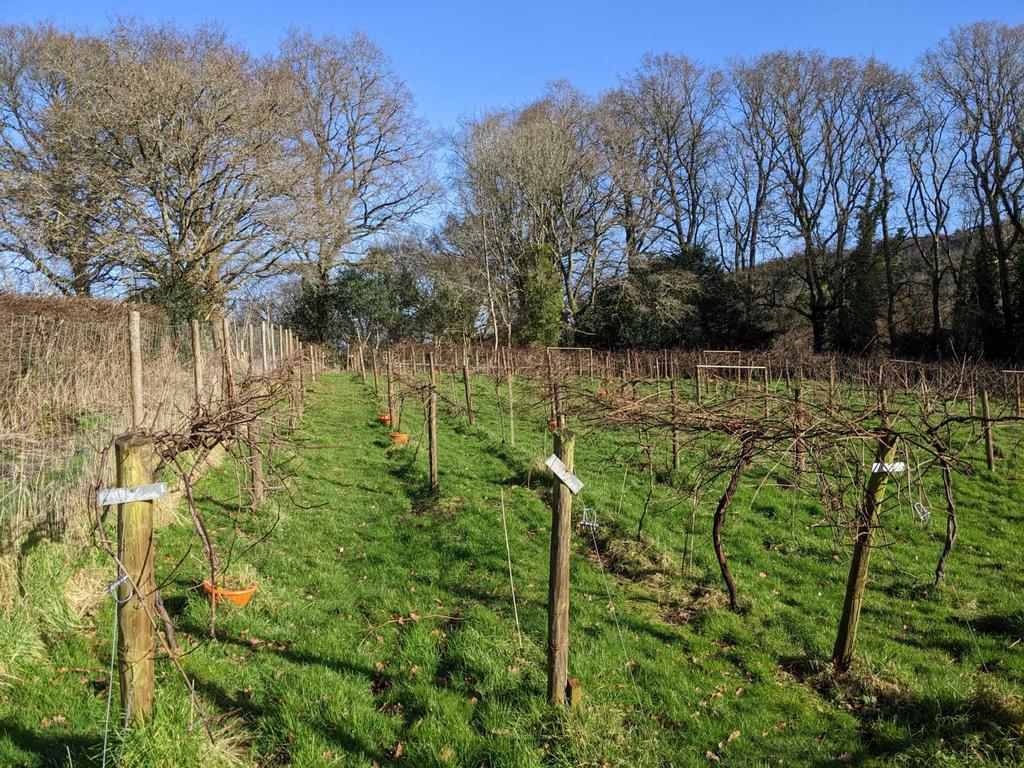 Fovant, Salisbury Land for sale £80,000