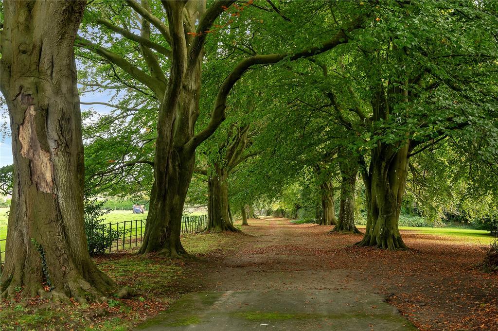 Driveway