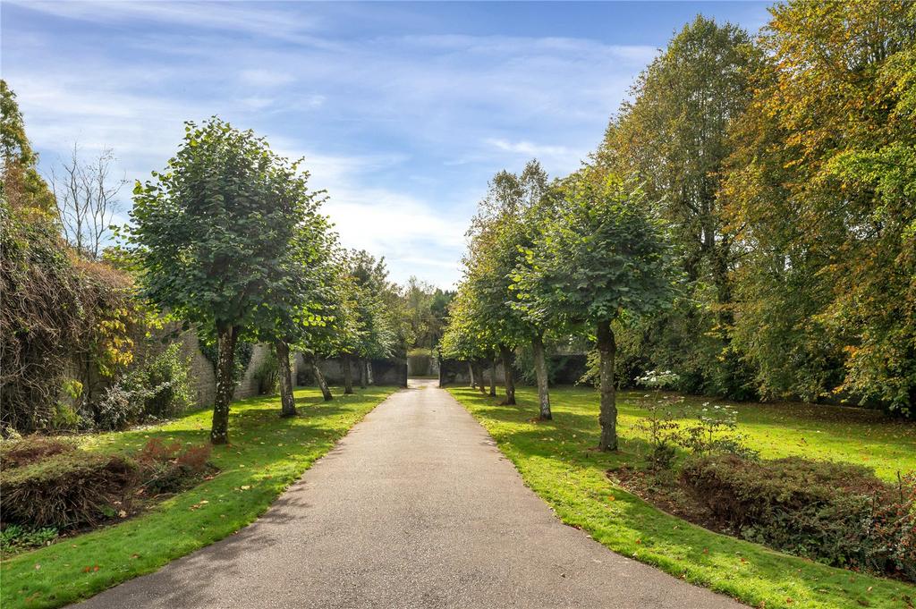 Driveway