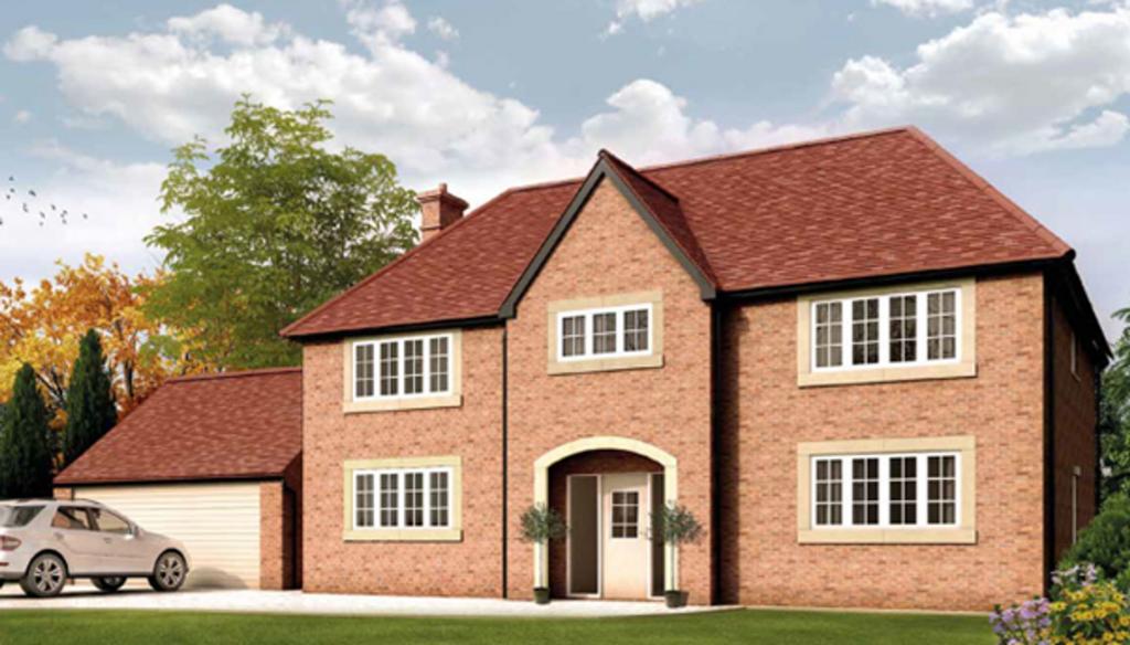 Plot 8