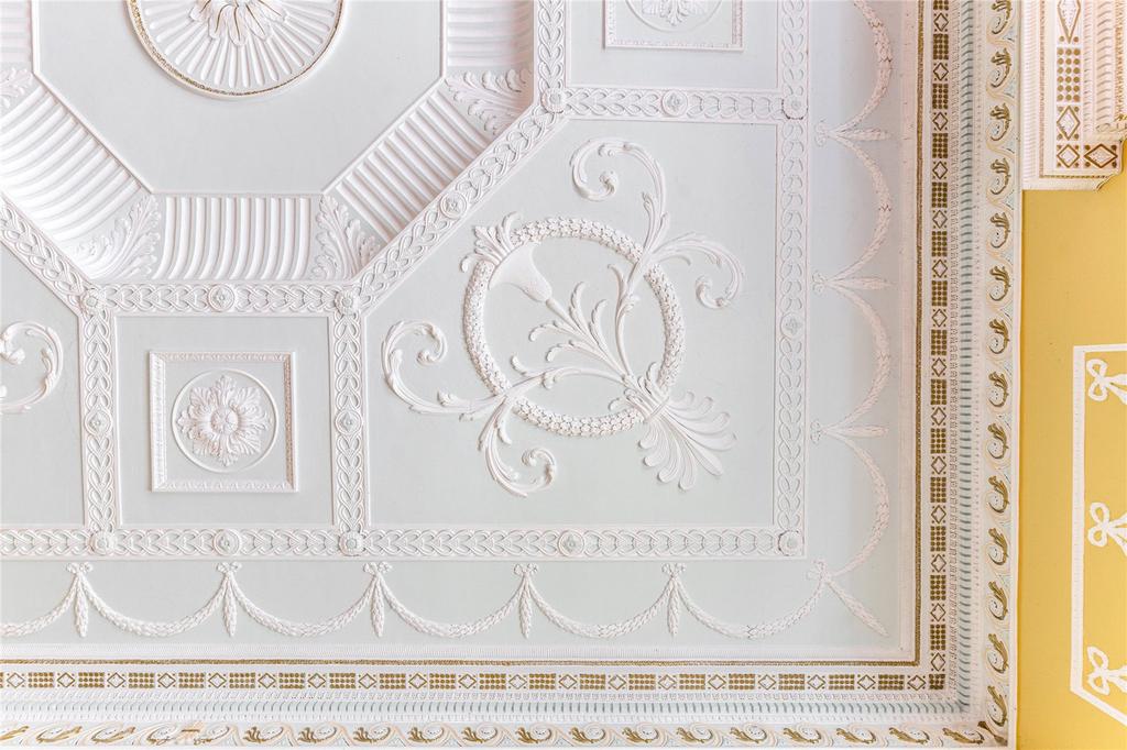 Ornate Ceiling