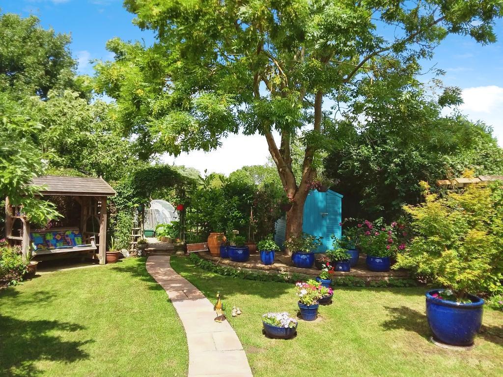 Garden in Summer