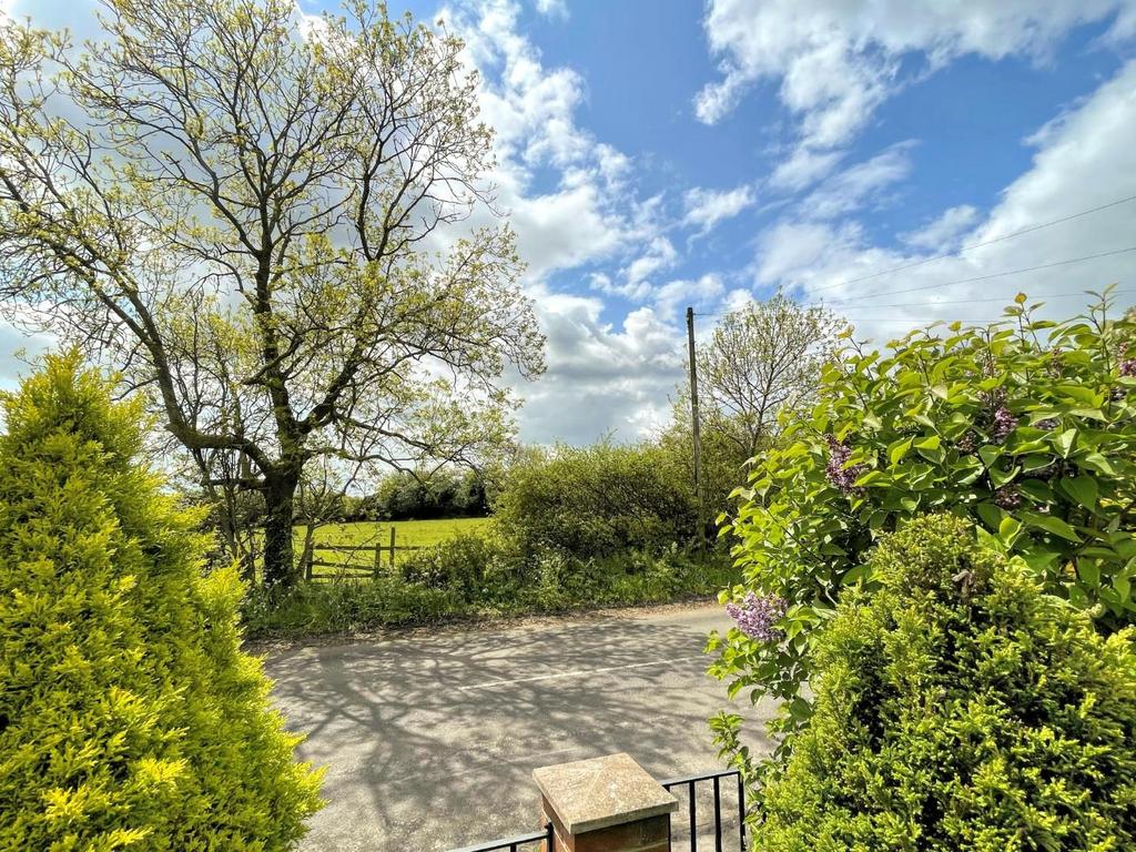 View from driveway