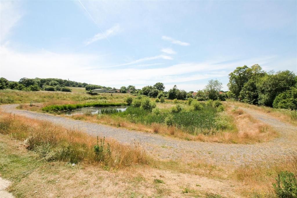 Local Pond