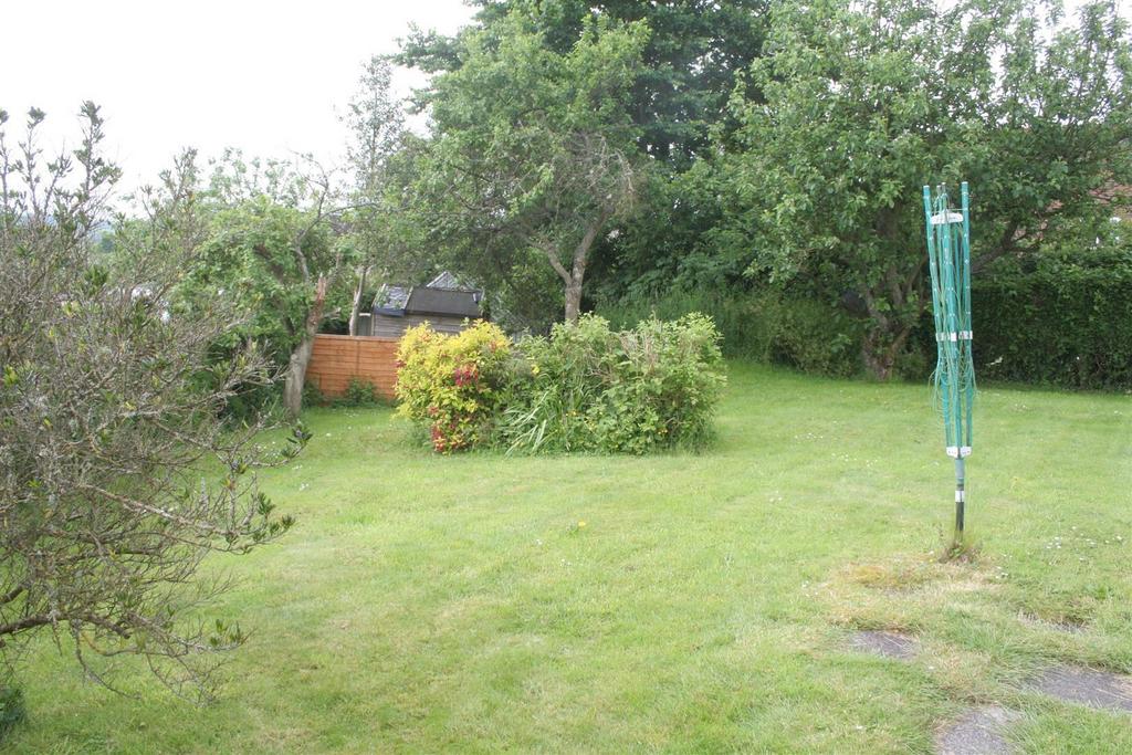 Garden.jpg
