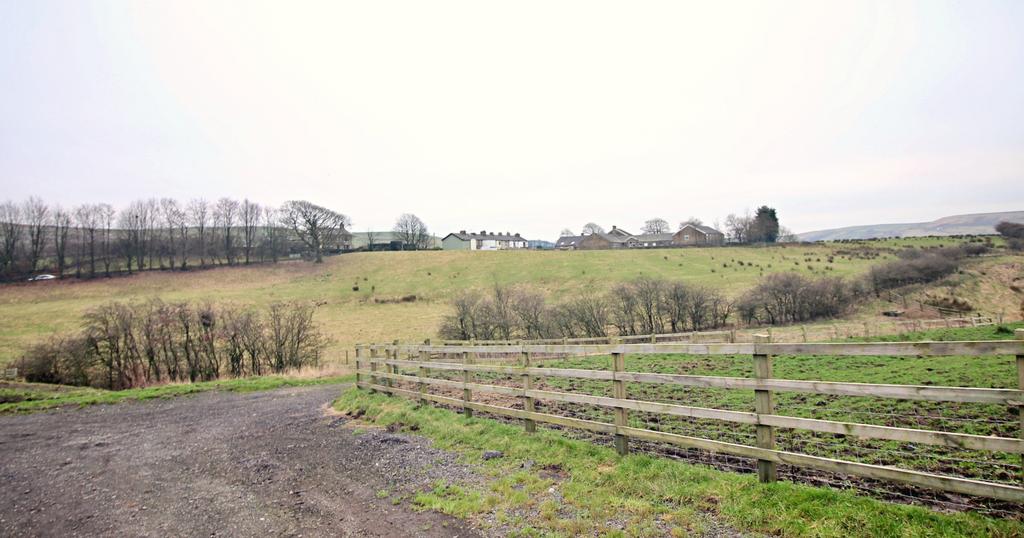 Front Paddock and Graziing Land