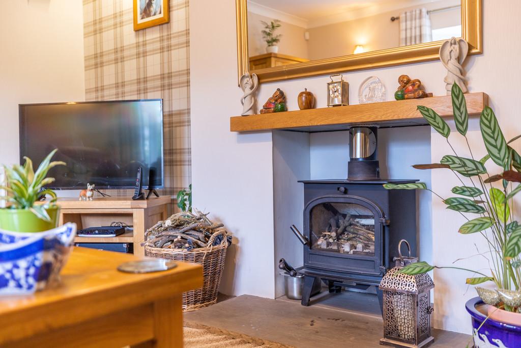Cosy Wood Burning Stove