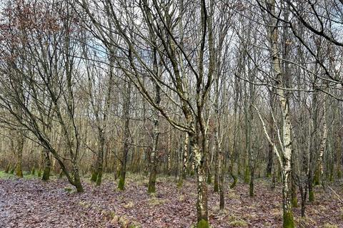 Land for sale, Armadale, West Lothian, EH48